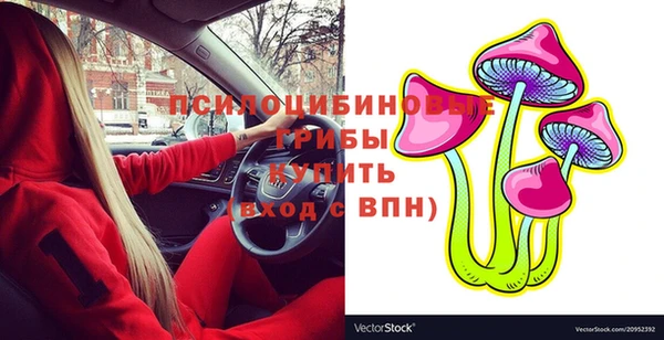 ПСИЛОЦИБИНОВЫЕ ГРИБЫ Каменск-Шахтинский