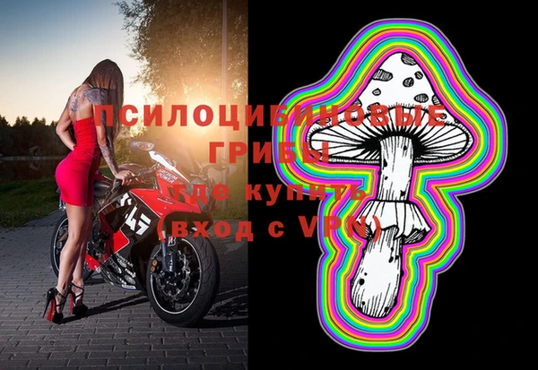 дистиллят марихуана Каменногорск