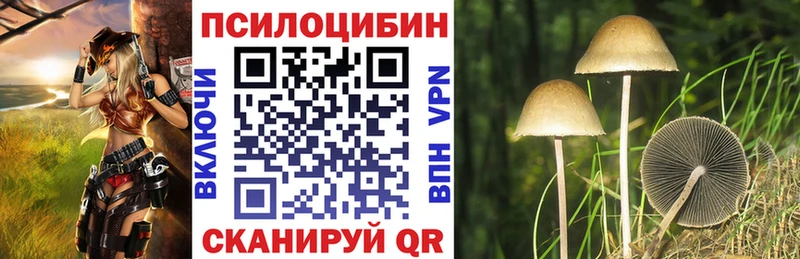 Купить закладки  Горячий Ключ  Псилоцибиновые грибы прущие грибы 